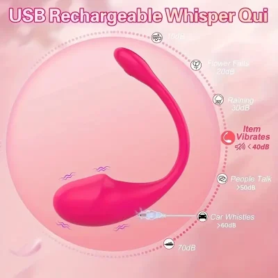 APP Remote Clit Vibrator Bluetooth Wearable Bullet Egg Adult Sex Toys for Women